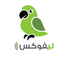 الصفحة الرئيسية